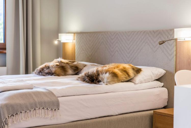 Royal Hill Residence | Zakopane | 5